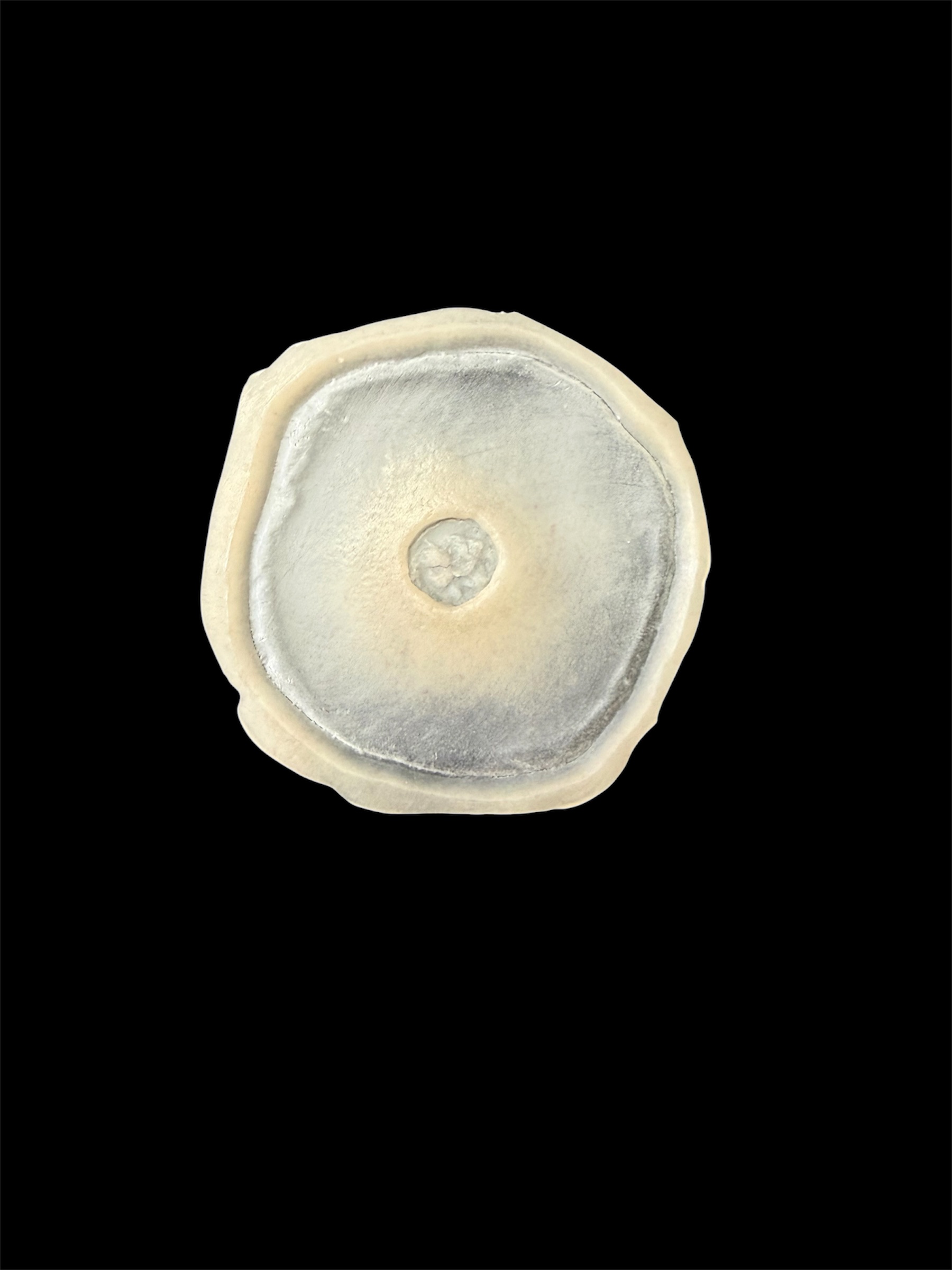Bullet Hole prosthetic, unpainted