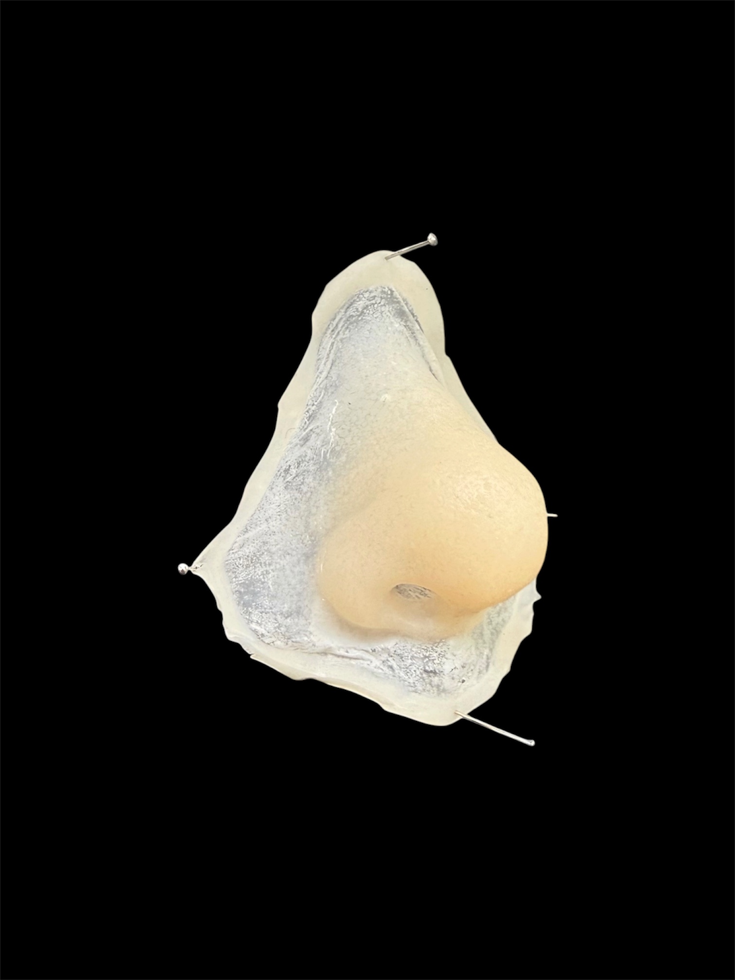 Large Nose prosthetic, unpainted