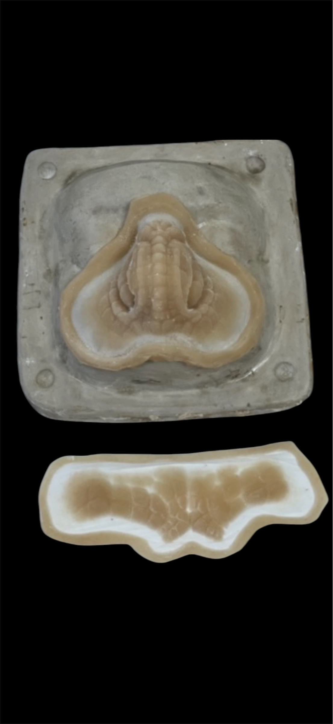 Scaly Brow and Nose prosthetic, unpainted