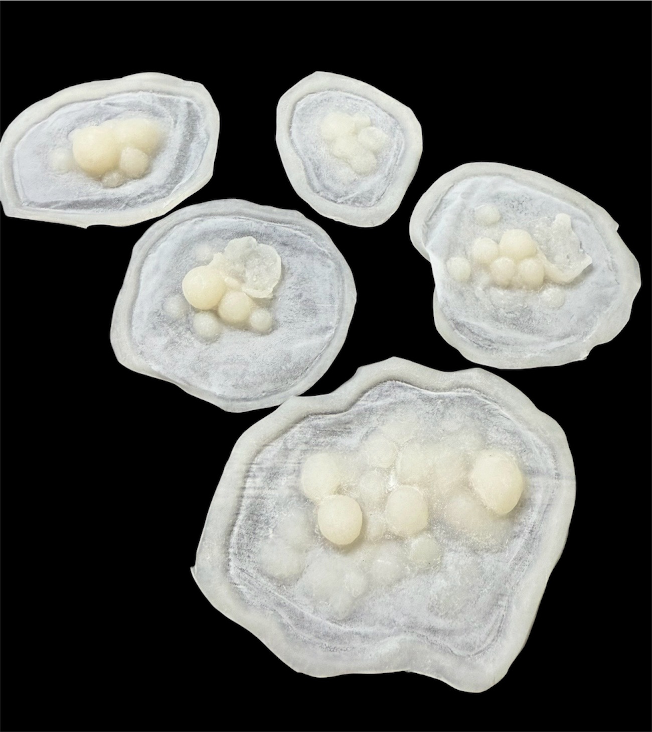 Silicone Boils prosthetic, unpainted