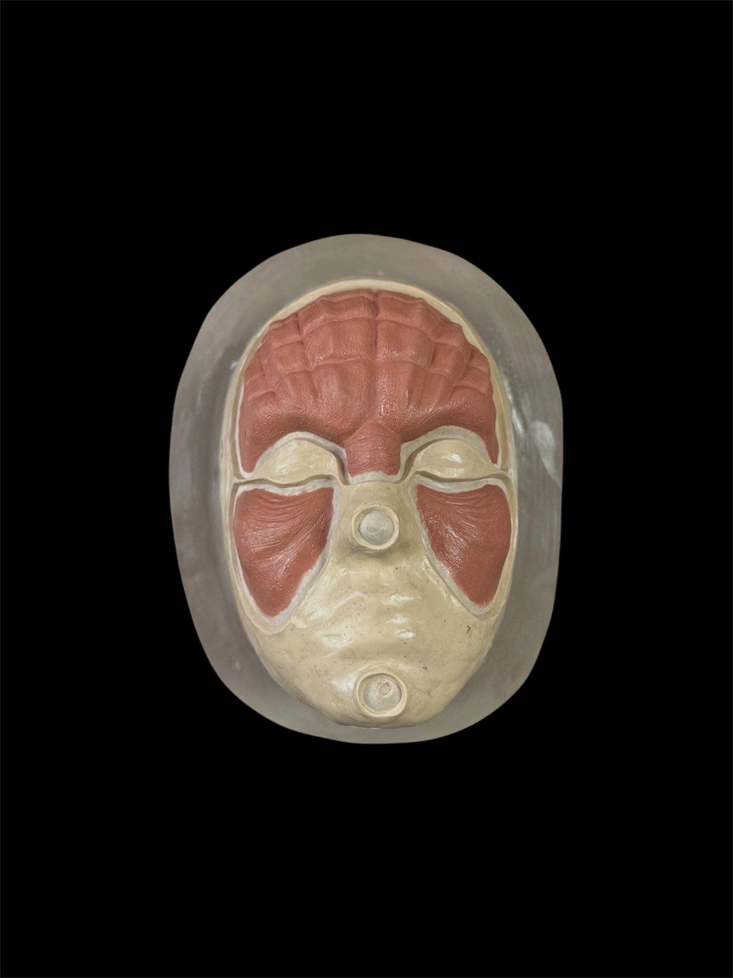 Yoda Cheeks and Brow prosthetic, unpainted